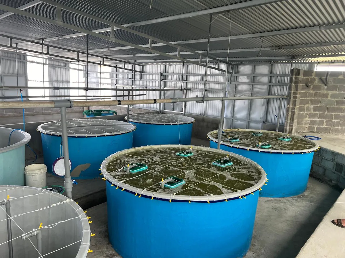 Modern aquaculture facilities